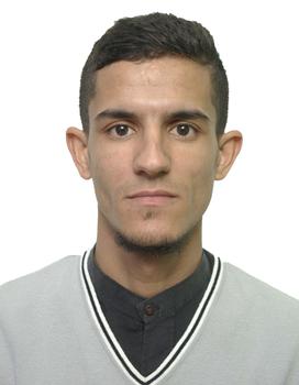 Cours particuliers d'aide à la rédaction de thèse / mémoire, mathématiques ou aide aux devoirs avec Salh Eddin Mohammed