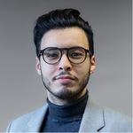 Cours particuliers d'aide à la rédaction de thèse / mémoire, statistiques ou Statistiques en groupe avec Brahim